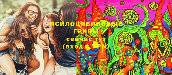 первитин Нея