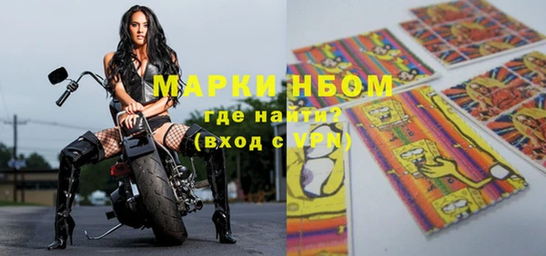хмурый Нефтекумск